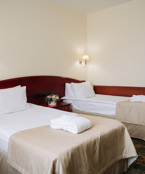 Стандарт с двумя отдельными кроватями (1 корпус) Стандарт с двумя отдельными кроватями (1 корпус)